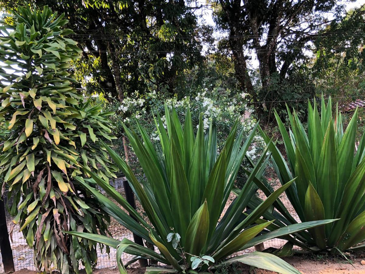 Vila Glaura Extérieur photo